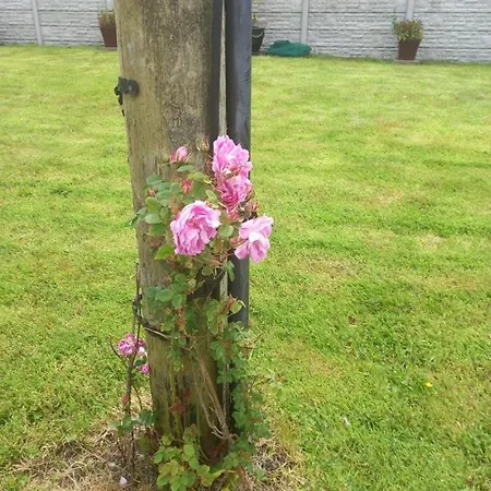 Apartman Stunning 1-bed Valentia Island *
